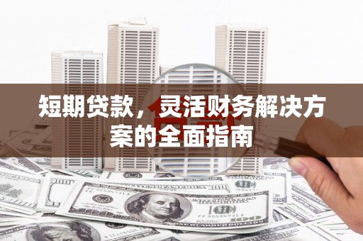 龙凤短期贷款，灵活财务解决方案的全面指南