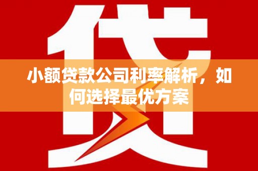 龙凤小额贷款公司利率解析，如何选择最优方案