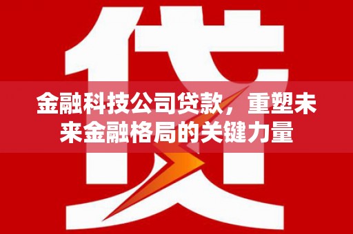 龙凤金融科技公司贷款，重塑未来金融格局的关键力量
