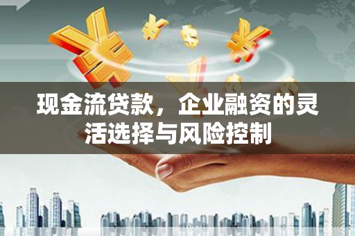 龙凤现金流贷款，企业融资的灵活选择与风险控制