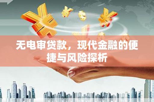 龙凤无电审贷款，现代金融的便捷与风险探析
