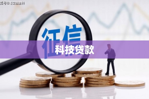 龙凤科技贷款