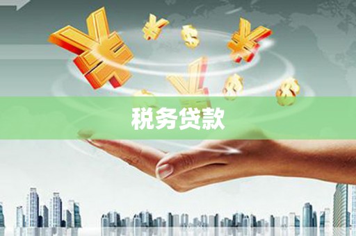 龙凤税务贷款