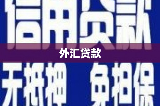 龙凤外汇贷款