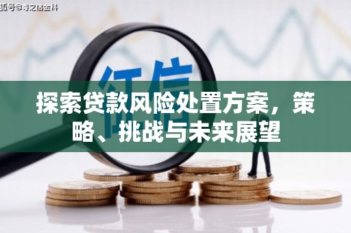 龙凤探索贷款风险处置方案，策略、挑战与未来展望
