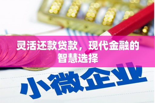 龙凤灵活还款贷款，现代金融的智慧选择