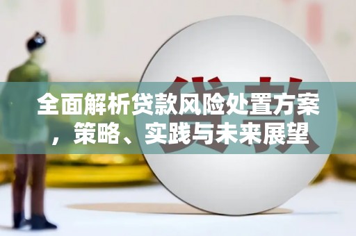 龙凤全面解析贷款风险处置方案，策略、实践与未来展望