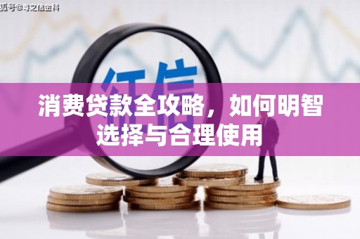 龙凤消费贷款全攻略，如何明智选择与合理使用