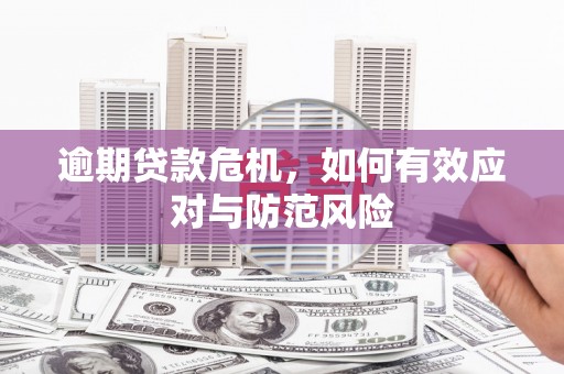 龙凤逾期贷款危机，如何有效应对与防范风险