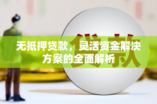 龙凤无抵押贷款，灵活资金解决方案的全面解析
