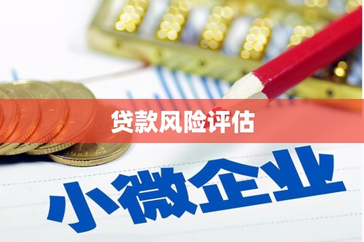 龙凤贷款风险评估