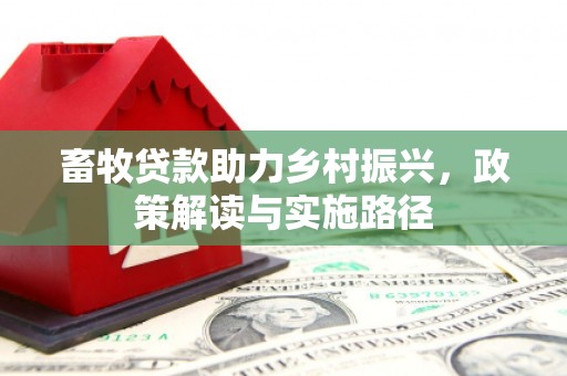 龙凤畜牧贷款助力乡村振兴，政策解读与实施路径