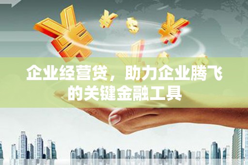 龙凤企业经营贷，助力企业腾飞的关键金融工具