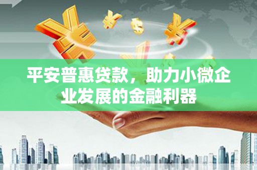 龙凤平安普惠贷款，助力小微企业发展的金融利器