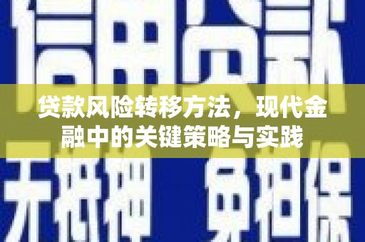 龙凤贷款风险转移方法，现代金融中的关键策略与实践