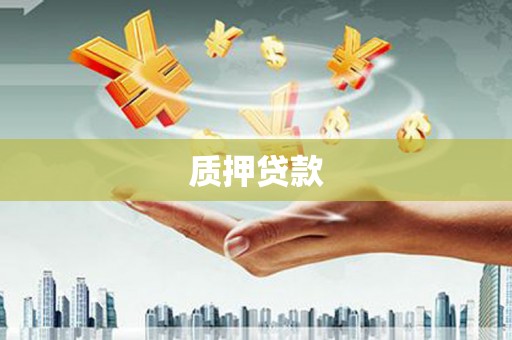 龙凤质押贷款