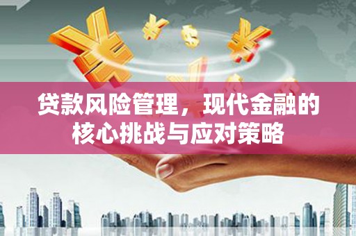 龙凤贷款风险管理，现代金融的核心挑战与应对策略