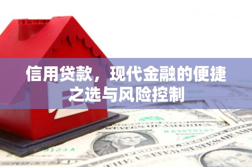 龙凤信用贷款，现代金融的便捷之选与风险控制