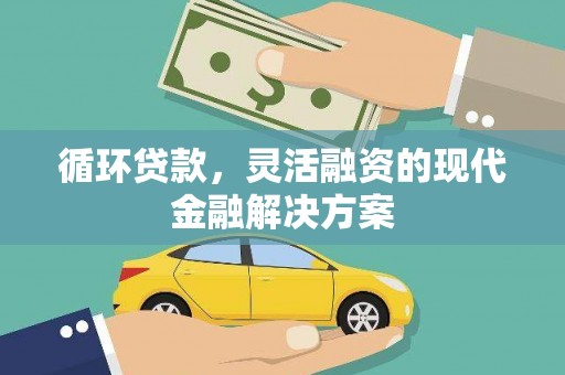 龙凤循环贷款，灵活融资的现代金融解决方案