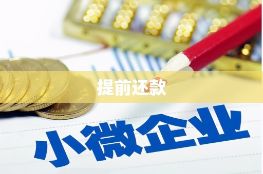 龙凤提前还款