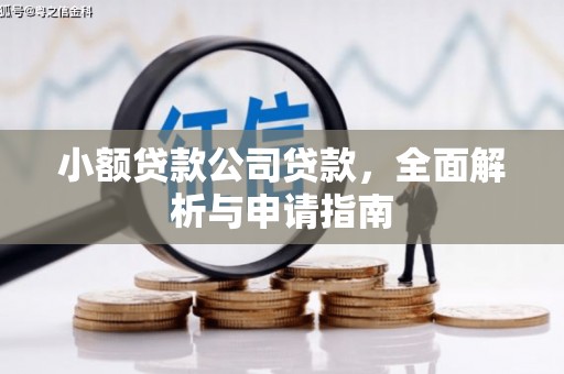 龙凤小额贷款公司贷款，全面解析与申请指南