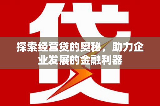 龙凤探索经营贷的奥秘，助力企业发展的金融利器