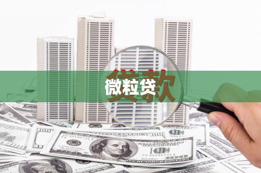 龙凤微粒贷