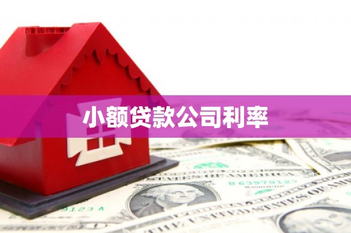 龙凤小额贷款公司利率