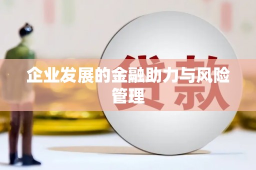 龙凤企业发展的金融助力与风险管理