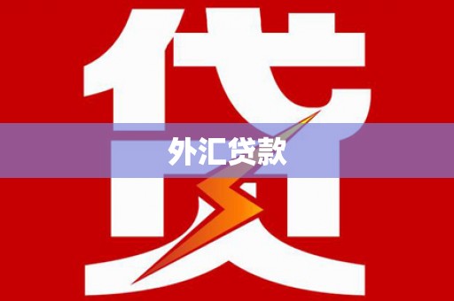 龙凤外汇贷款