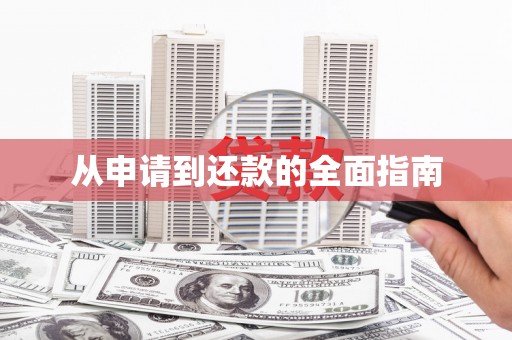 龙凤从申请到还款的全面指南