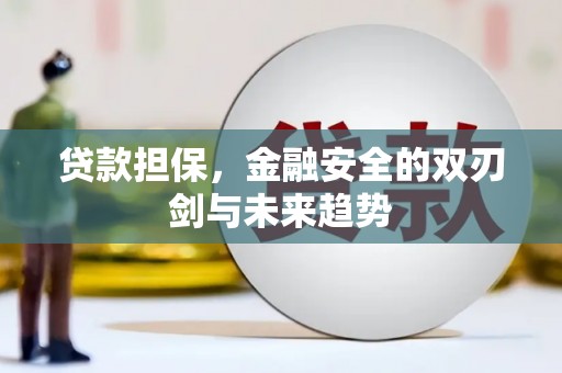 龙凤贷款担保，金融安全的双刃剑与未来趋势