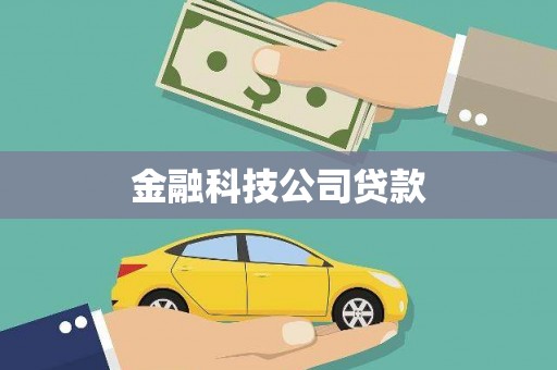 龙凤金融科技公司贷款