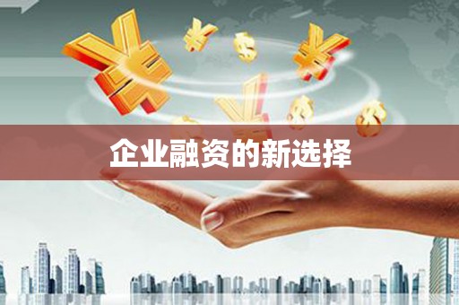 龙凤企业融资的新选择