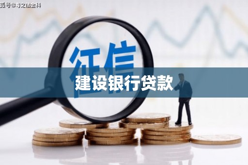 龙凤建设银行贷款
