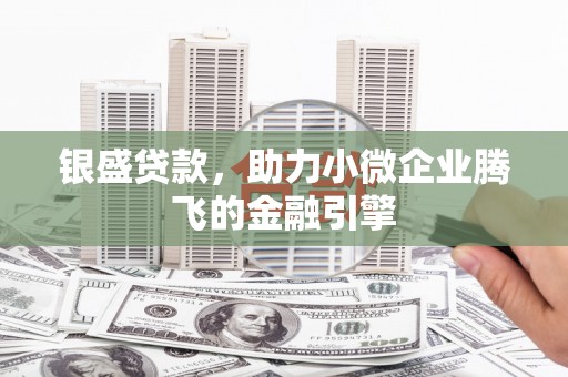 龙凤银盛贷款，助力小微企业腾飞的金融引擎