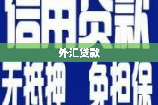 龙凤外汇贷款
