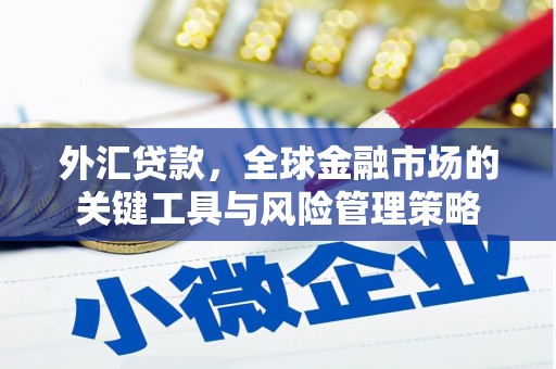 龙凤外汇贷款，全球金融市场的关键工具与风险管理策略