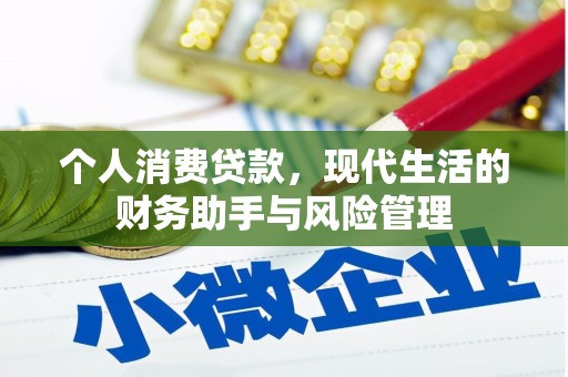 龙凤个人消费贷款，现代生活的财务助手与风险管理