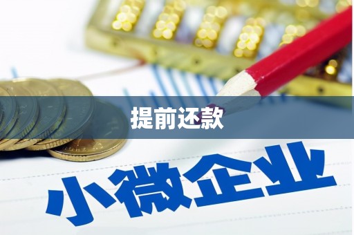 龙凤提前还款