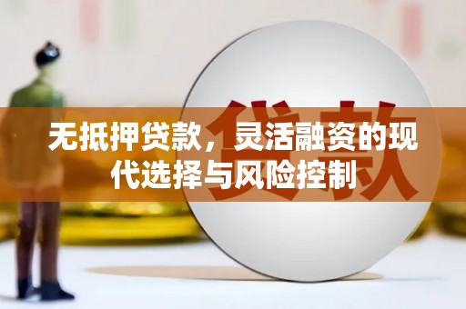 龙凤无抵押贷款，灵活融资的现代选择与风险控制