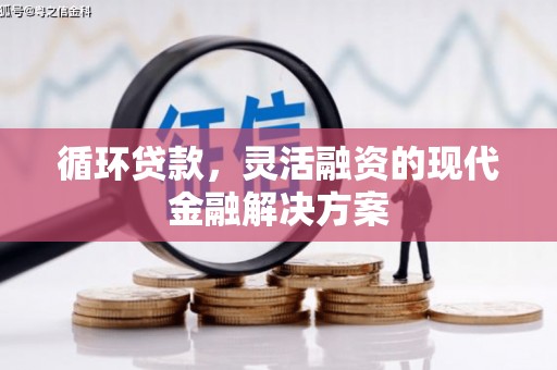 龙凤循环贷款，灵活融资的现代金融解决方案