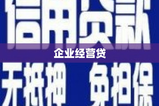 龙凤企业经营贷