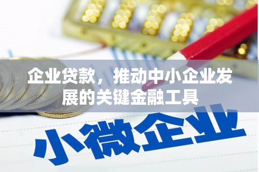 龙凤企业贷款，推动中小企业发展的关键金融工具