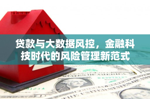 龙凤贷款与大数据风控，金融科技时代的风险管理新范式
