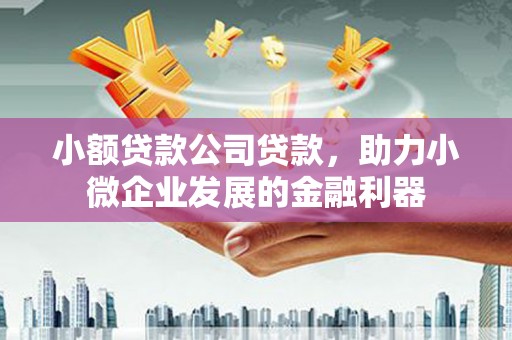 龙凤小额贷款公司贷款，助力小微企业发展的金融利器
