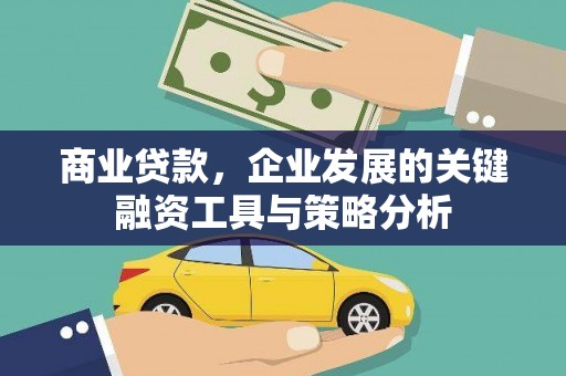 龙凤商业贷款，企业发展的关键融资工具与策略分析