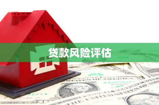 龙凤贷款风险评估