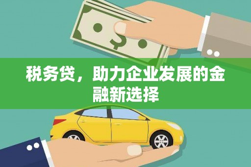 龙凤税务贷，助力企业发展的金融新选择