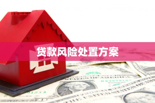 龙凤贷款风险处置方案